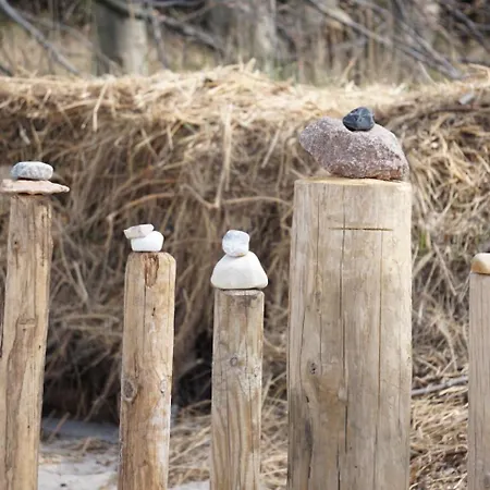 펜션 Clara 레리크